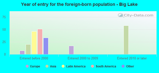 Year of entry for the foreign-born population - Big Lake