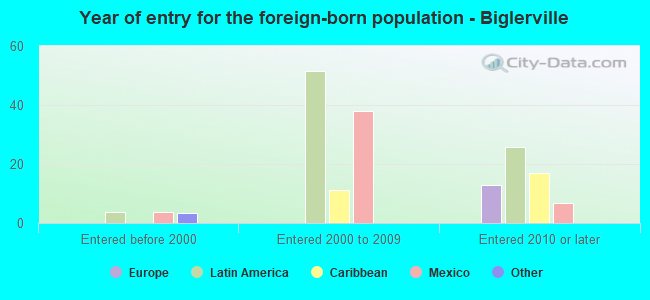 Year of entry for the foreign-born population - Biglerville