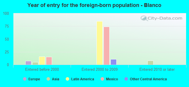 Year of entry for the foreign-born population - Blanco