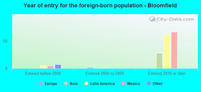 Year of entry for the foreign-born population - Bloomfield
