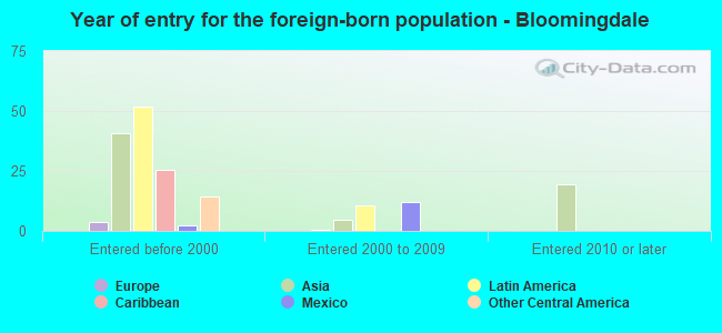 Year of entry for the foreign-born population - Bloomingdale