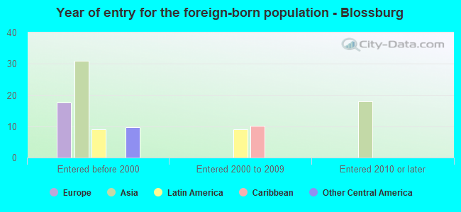 Year of entry for the foreign-born population - Blossburg