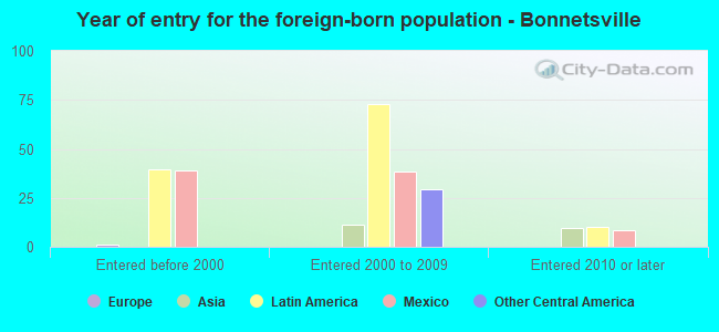 Year of entry for the foreign-born population - Bonnetsville