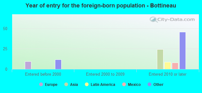 Year of entry for the foreign-born population - Bottineau