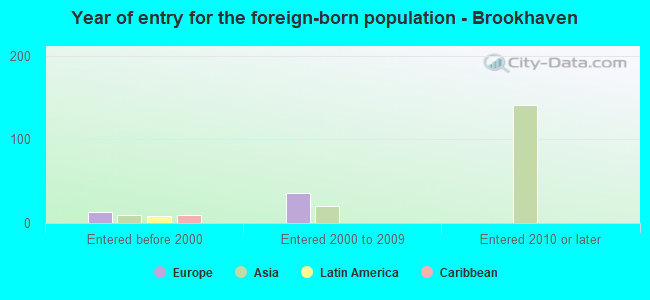 Year of entry for the foreign-born population - Brookhaven