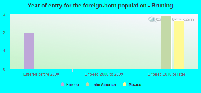 Year of entry for the foreign-born population - Bruning