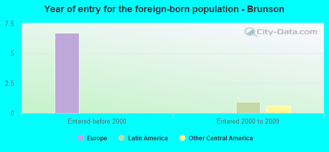 Year of entry for the foreign-born population - Brunson