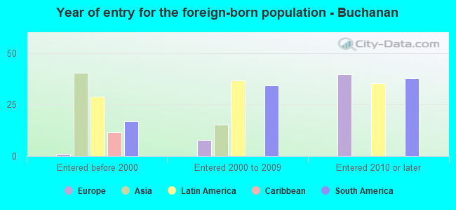 Year of entry for the foreign-born population - Buchanan