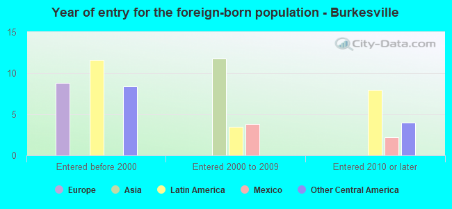 Year of entry for the foreign-born population - Burkesville