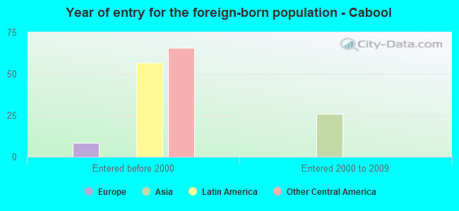 Year of entry for the foreign-born population - Cabool