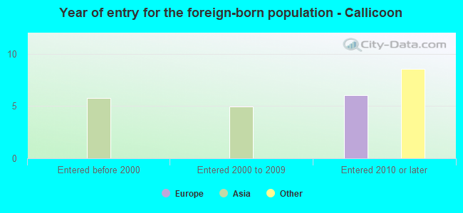 Year of entry for the foreign-born population - Callicoon