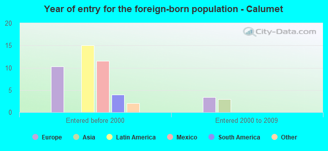 Year of entry for the foreign-born population - Calumet