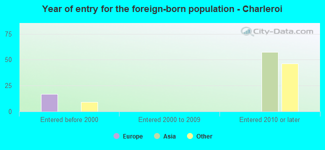 Year of entry for the foreign-born population - Charleroi