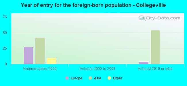 Year of entry for the foreign-born population - Collegeville