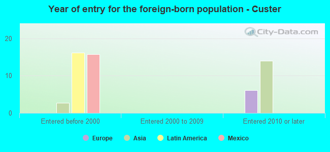 Year of entry for the foreign-born population - Custer