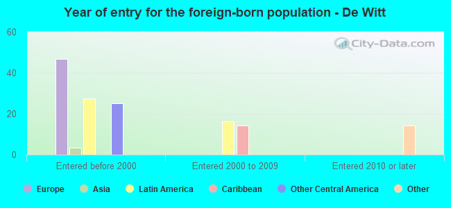 Year of entry for the foreign-born population - De Witt
