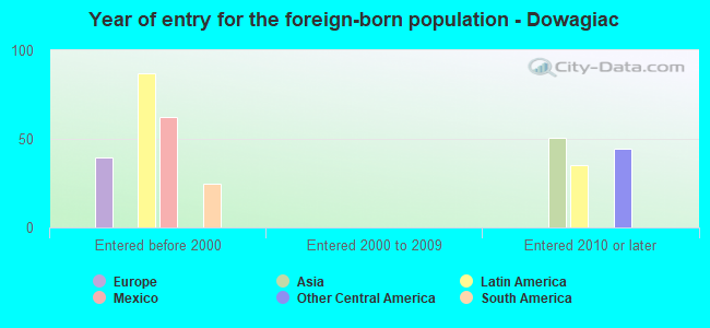 Year of entry for the foreign-born population - Dowagiac