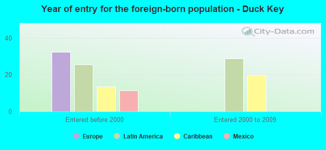 Year of entry for the foreign-born population - Duck Key