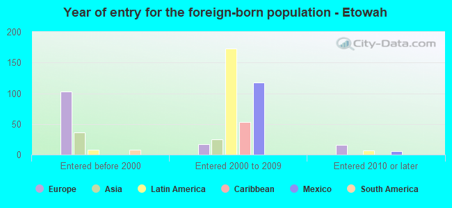 Year of entry for the foreign-born population - Etowah