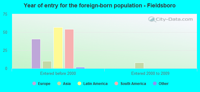Year of entry for the foreign-born population - Fieldsboro