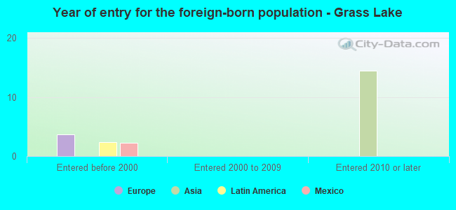 Year of entry for the foreign-born population - Grass Lake