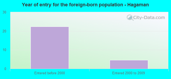 Year of entry for the foreign-born population - Hagaman