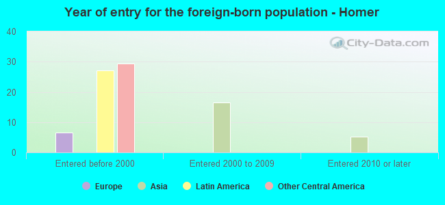 Year of entry for the foreign-born population - Homer