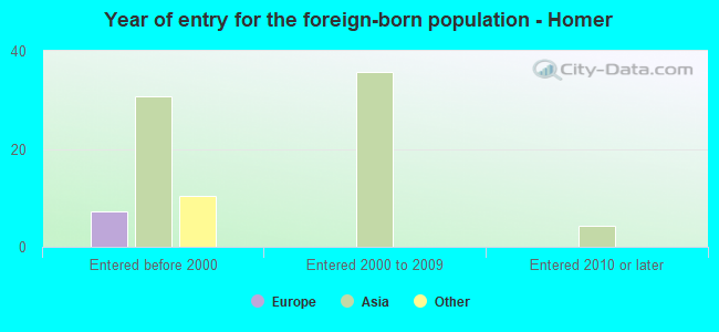 Year of entry for the foreign-born population - Homer