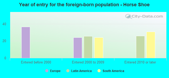 Year of entry for the foreign-born population - Horse Shoe