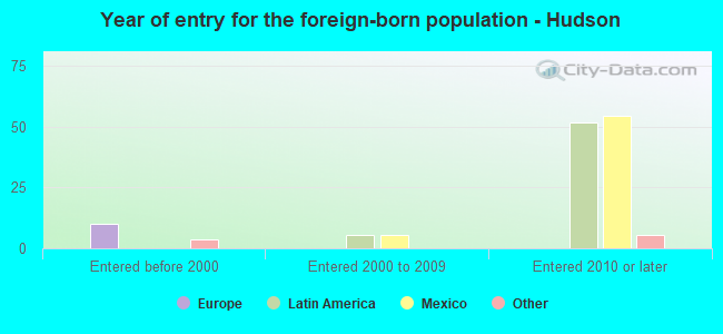 Year of entry for the foreign-born population - Hudson