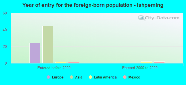 Year of entry for the foreign-born population - Ishpeming