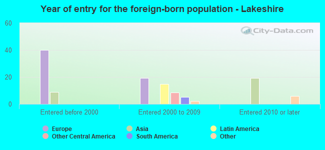 Year of entry for the foreign-born population - Lakeshire