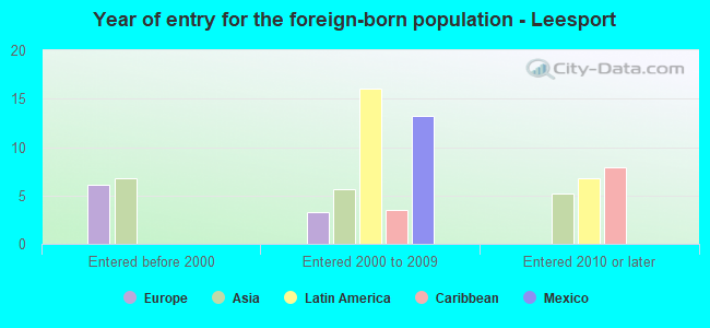 Year of entry for the foreign-born population - Leesport