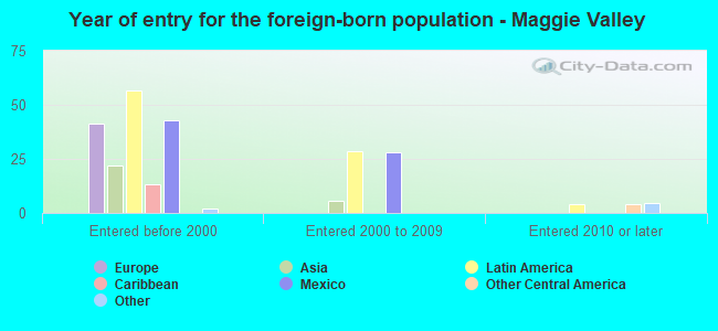 Year of entry for the foreign-born population - Maggie Valley