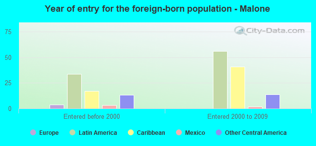 Year of entry for the foreign-born population - Malone