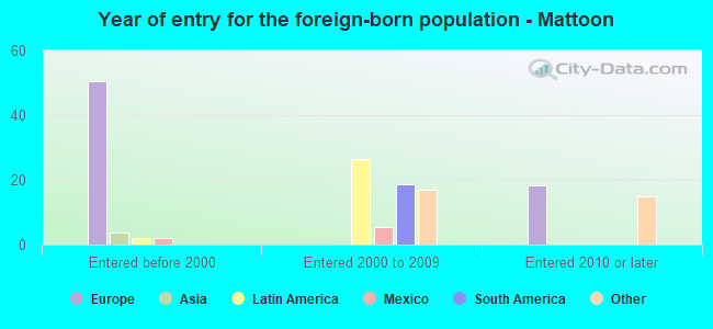 Year of entry for the foreign-born population - Mattoon