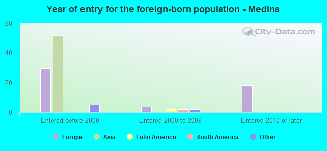 Year of entry for the foreign-born population - Medina