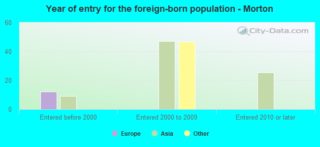 Year of entry for the foreign-born population - Morton