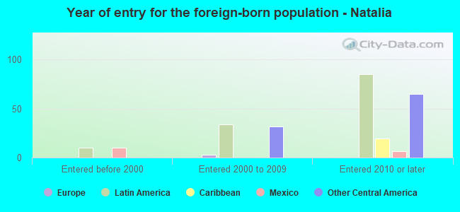 Year of entry for the foreign-born population - Natalia