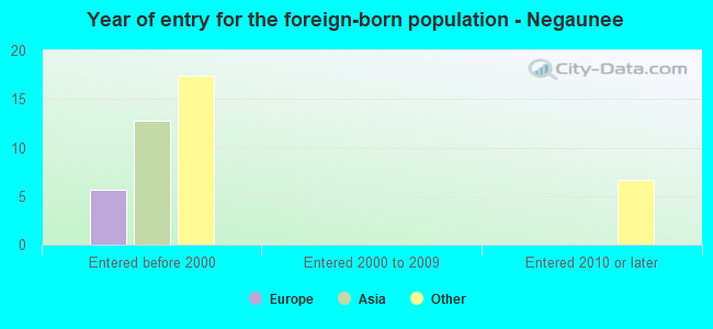 Year of entry for the foreign-born population - Negaunee