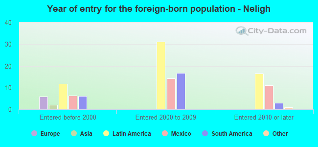 Year of entry for the foreign-born population - Neligh