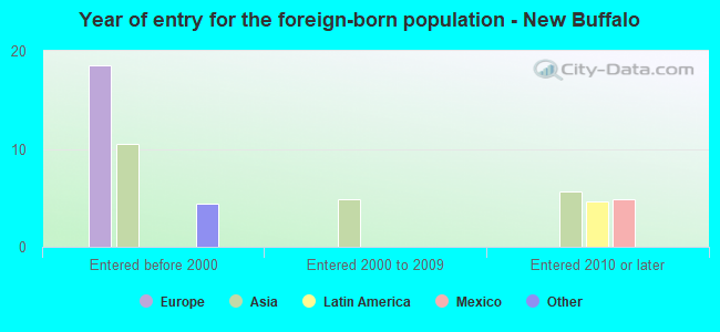 Year of entry for the foreign-born population - New Buffalo