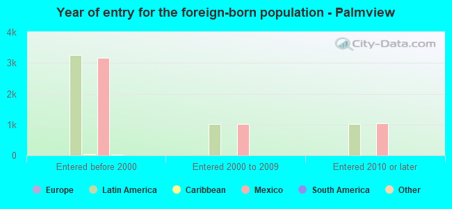 Year of entry for the foreign-born population - Palmview