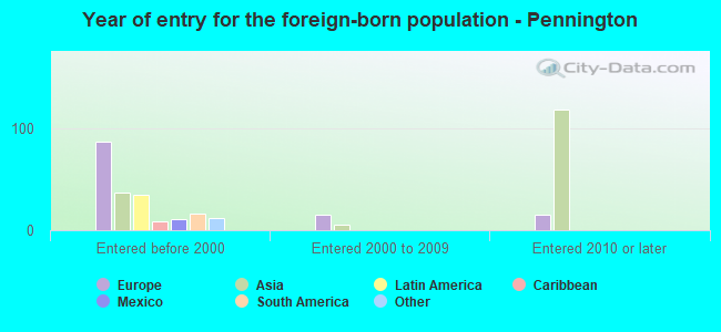 Year of entry for the foreign-born population - Pennington