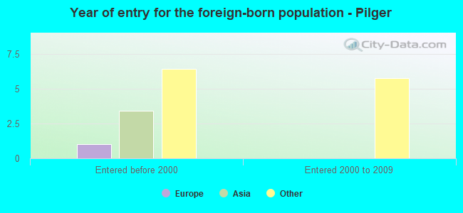 Year of entry for the foreign-born population - Pilger
