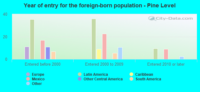 Year of entry for the foreign-born population - Pine Level