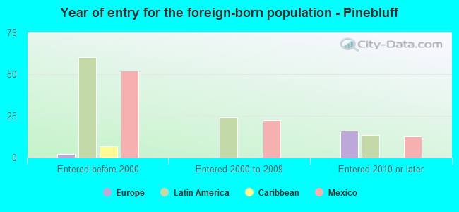 Year of entry for the foreign-born population - Pinebluff