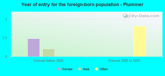 Year of entry for the foreign-born population - Plummer