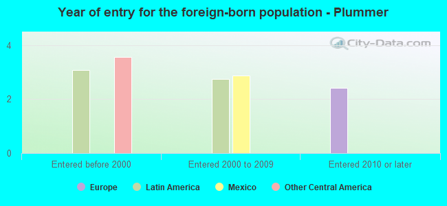 Year of entry for the foreign-born population - Plummer