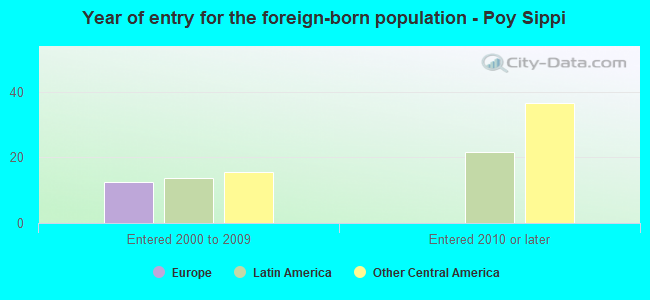 Year of entry for the foreign-born population - Poy Sippi
